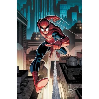 Amazing Spider-Man by Wells & Romita Jr. Vol. 1