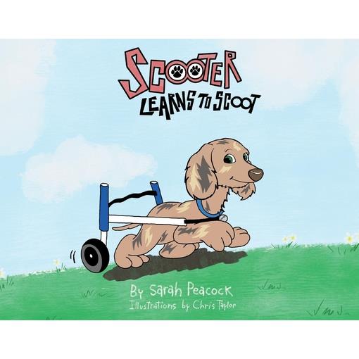 Scooter Learns to Scoot