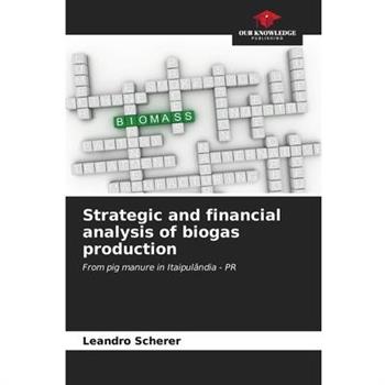 Strategic and financial analysis of biogas production
