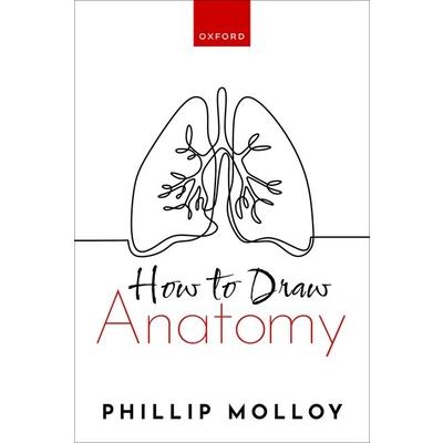 How to Draw Anatomy