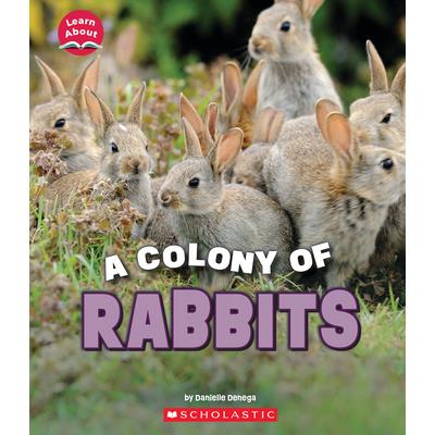 A Colony of Rabbits (Learn About: Animals) | 拾書所