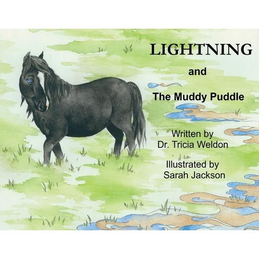 Lightning and the Muddy Puddle
