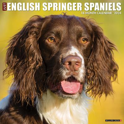 Just English Springer Spaniels 2024 12 X 12 Wall Calendar