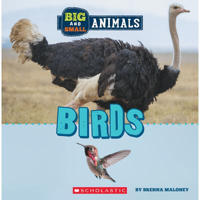 Big and Small: Birds (Wild World) | 拾書所