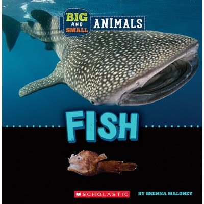 Big and Small: Fish (Wild World) | 拾書所