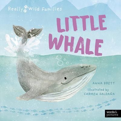 Little Whale | 拾書所