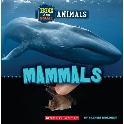 Big and Small: Mammals (Wild World) | 拾書所