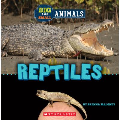 Big and Small: Reptiles (Wild World) | 拾書所