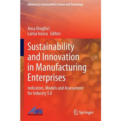 Sustainability and Innovation in Manufacturing Enterprises
