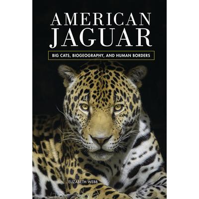 American Jaguar