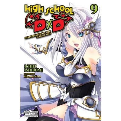 High School DXD, Vol. 9 (Light Novel)