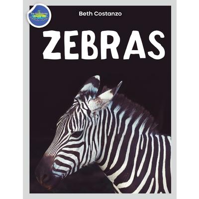 Zebra Activity Workbook ages 4-8