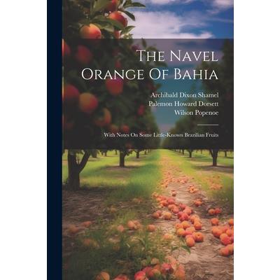 The Navel Orange Of Bahia | 拾書所