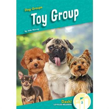 Toy Group