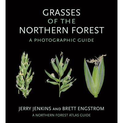 Grasses of the Northern Forest