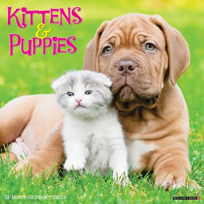 Kittens & Puppies 2024 12 X 12 Wall Calendar | 拾書所