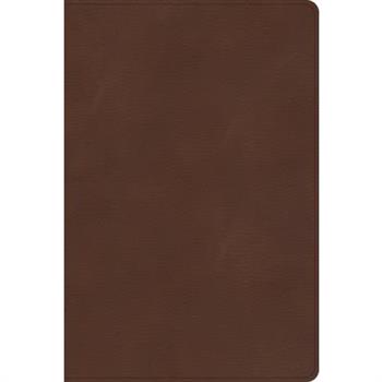 CSB Rainbow Study Bible, Brown Leathertouch