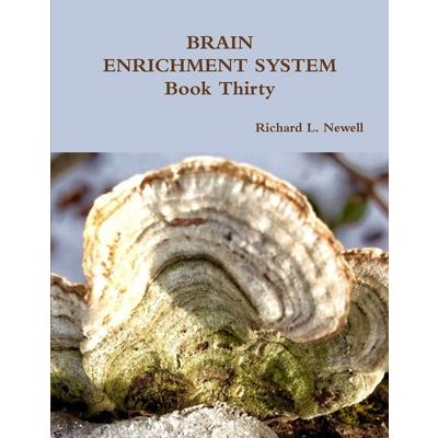 BRAIN ENRICHMENT SYSTEM Book Thirty | 拾書所