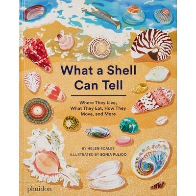 What a Shell Can Tell