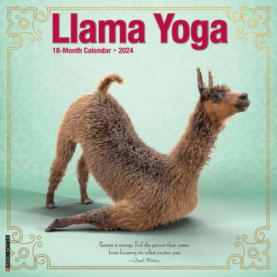 Llama Yoga 2024 12 X 12 Wall Calendar | 拾書所