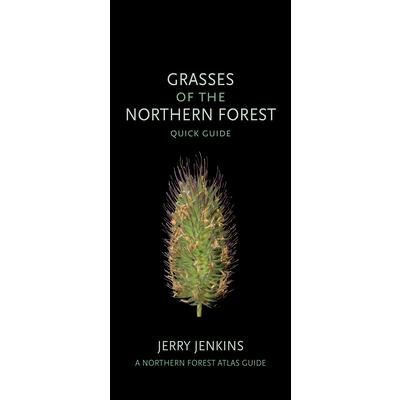 Grasses of the Northern Forest