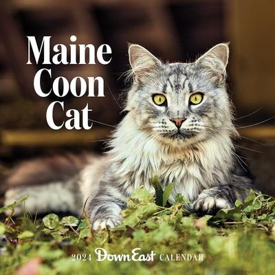 2024 Maine Coon Cat Wall Calendar | 拾書所