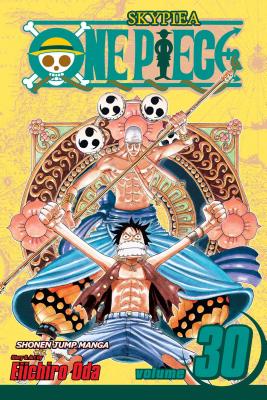 One Piece 30