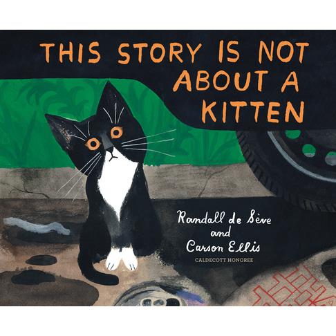 This Story Is Not about a Kitten