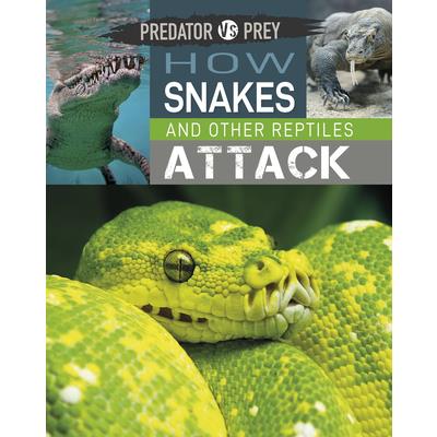 Predator Vs Prey: How Snakes and Other Reptiles Attack!