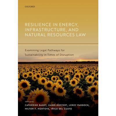 Resilience in Energy, Infrastructure, and Natural Resources Law