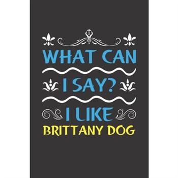What Can I Say? I Like Brittany Dog