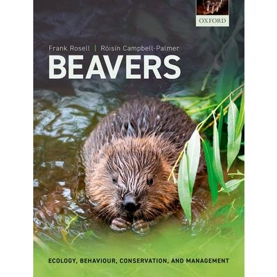 Beavers