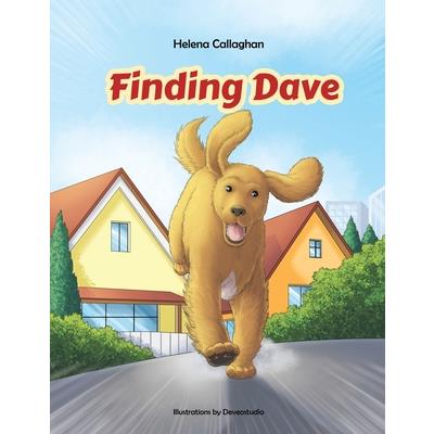 Finding Dave