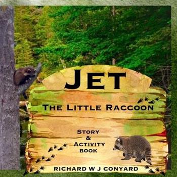 Jet The Little Raccoon
