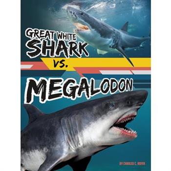 Great White Shark vs. Megalodon