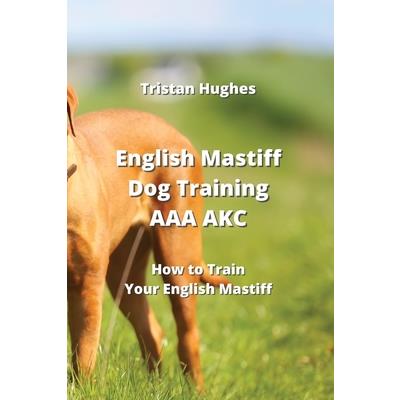 English Mastiff Dog Training AAA AKC | 拾書所