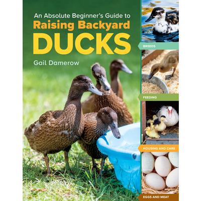 An Absolute Beginner’s Guide to Raising Backyard Ducks
