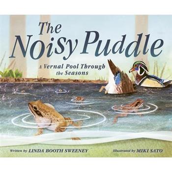 The Noisy Puddle