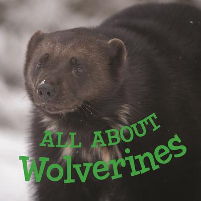 All about Wolverines (English)