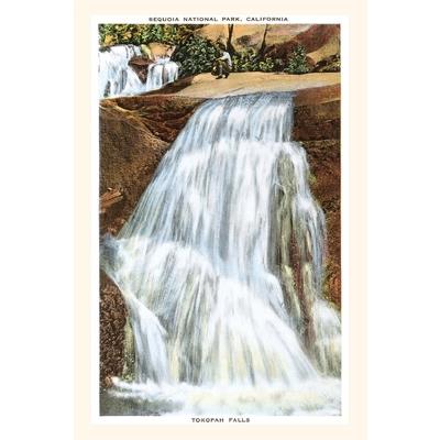 The Vintage Journal Tokopah Falls, Sequoia, California