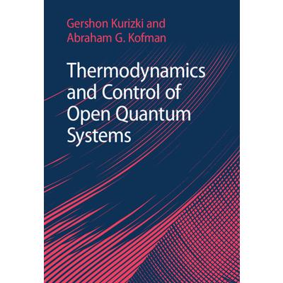 Thermodynamics and Control of Open Quantum Systems