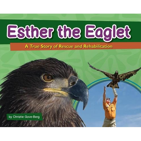 Esther the Eaglet’s Windy Day