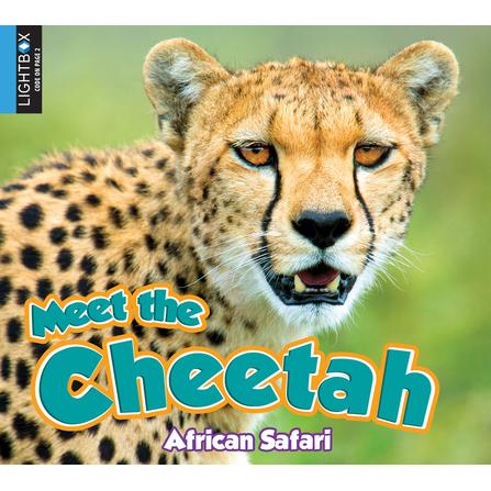 Meet the Cheetah