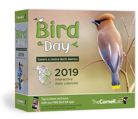 Bird-a-day 2019 Daily Calendar