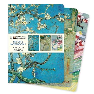 Vincent Van Gogh: Blossom Set of 3 Standard Notebooks | 拾書所