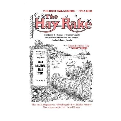 Hay Rake Nov V1 N5