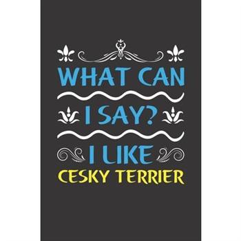 What Can I Say? I Like Cesky Terrier