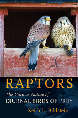 Raptors