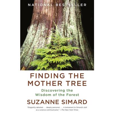 Finding the Mother Tree