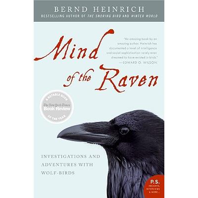 Mind of the Raven